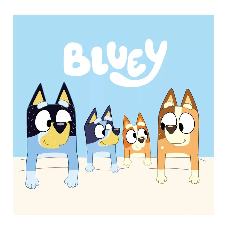 Bluey Cozy kéztörlő, arctörlő, törölköző 30x30cm