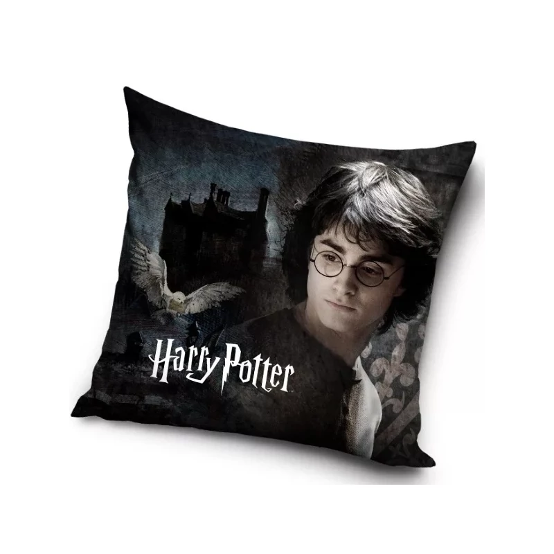Harry Potter párnahuzat