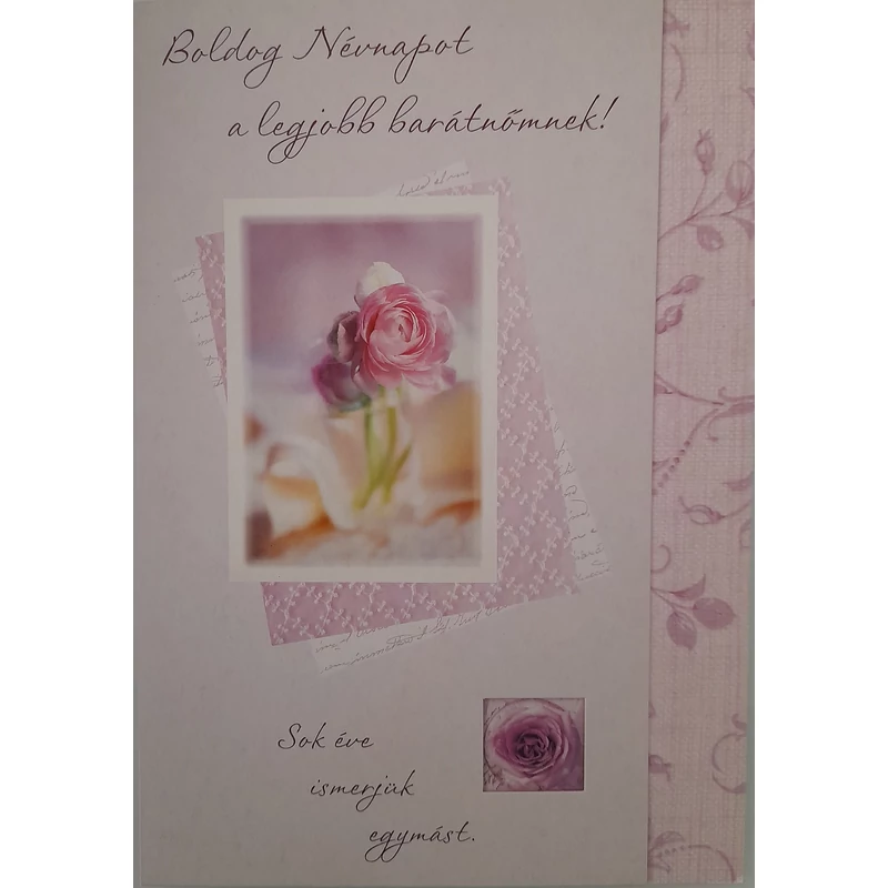 Képeslap - Boldog névnapot a legjobb barátnőmnek!